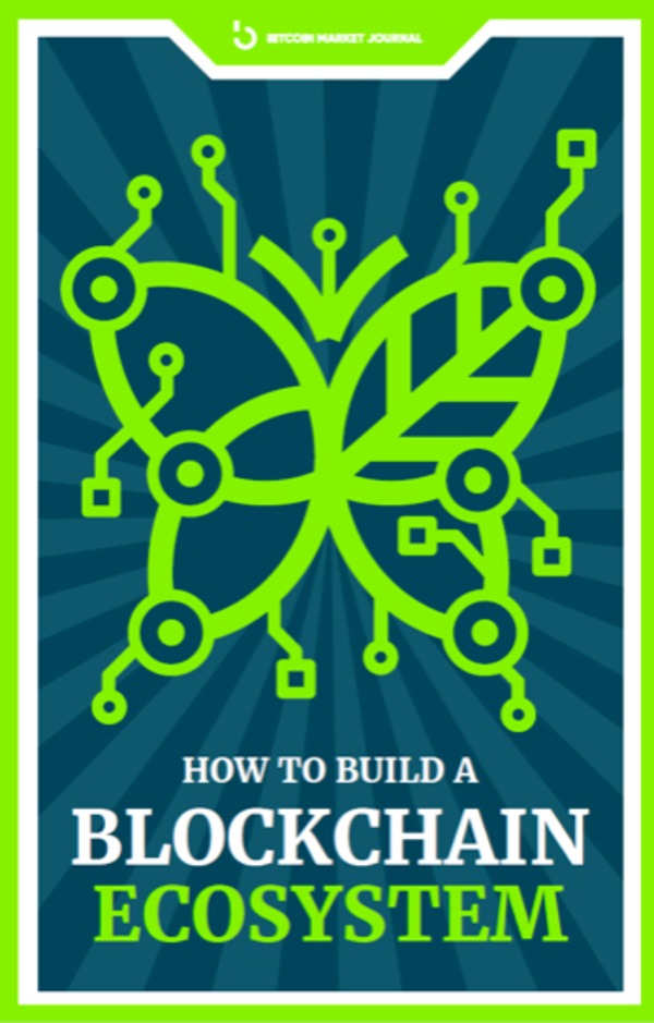 Blockchain Ecosystem ebook cover.